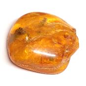 Ambre de la Baltique morceau poli n° 05954