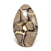 Septaria Forme Libre 08367