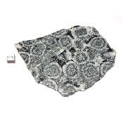 Diorite Orbiculaire Plaque 0125