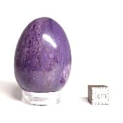 Charoite Oeuf 14904