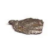 Météorite Sidérite Sikhote-Alin 15166