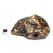 Ambre de Sumatra pierre brute 15224