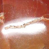 Cornaline chauffée coeur 15480