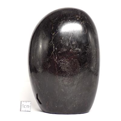 Tourmaline Noire Forme Libre 15693