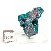 Dioptase Pierre Brute 15785