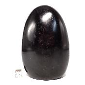 Tourmaline Noire Forme Libre 15798