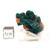 Dioptase Pierre Brute 15808