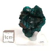 Dioptase Pierre Brute 15822