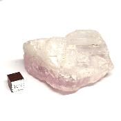 Kunzite Pierre brute 2056
