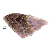 Super Seven Plaque 2067