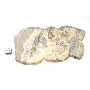 Jaspe Abeille Plaque 2278