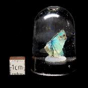 Opale d'Ethiopie Pierre Brute 2305