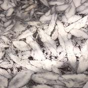 Pinolite Plaque 2334