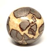 Septaria Boule 2830