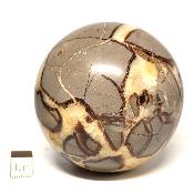 Septaria Boule 2830
