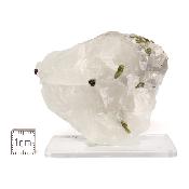 Tourmaline Verte sur gangue pierre brute 2967