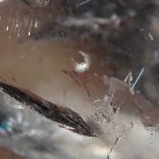 Cristal de Roche Boule Qualité E 3075