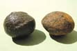 Moki Balls