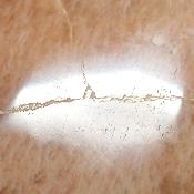 Pierre de Lune Orange Forme Libre 0058