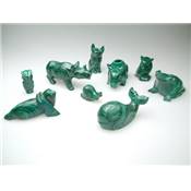 Malachite Animaux