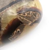 Septaria Coeur 04417