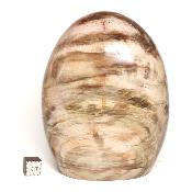 Bois Fossile Forme Libre 04075