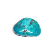 Turquoise Sleeping Beauty Pierre Roulée 05731