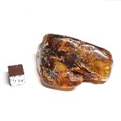 Ambre de la Baltique morceau poli n° 05952
