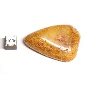 Ambre de la Baltique morceau poli n° 05956