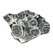 Diorite Orbiculaire Plaque 0114