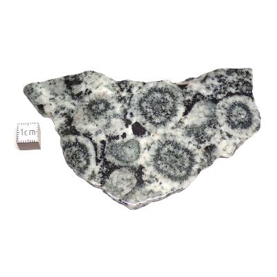 Diorite Orbiculaire Plaque 0117
