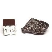 Météorite Sidérite Sikhote-Alin 15167