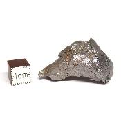 Météorite Sidérite Sikhote-Alin 15169
