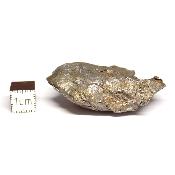 Météorite Sidérite Sikhote-Alin 15181
