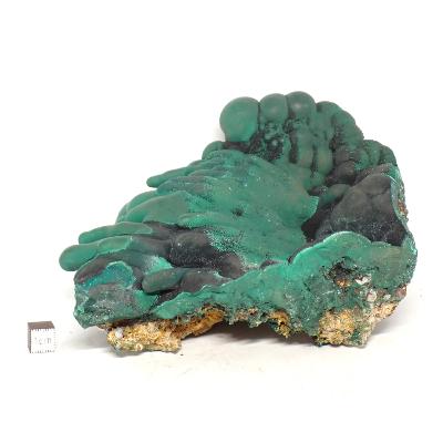 Malachite stalactite Pierre Brute 15270