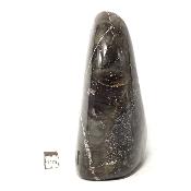 Labradorite Forme Libre 15373