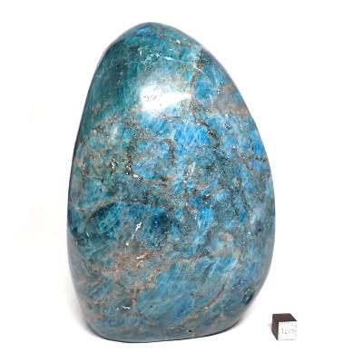 Apatite Bleue Forme Libre 15554