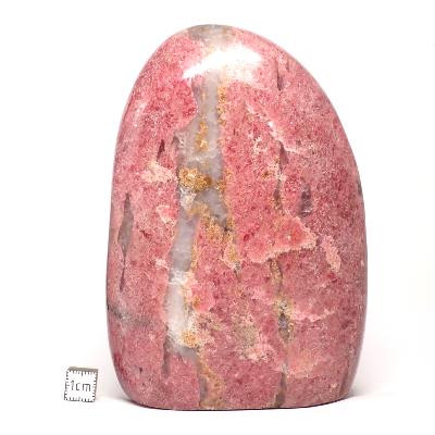 Rhodonite Forme Libre 15683