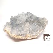 Célestine Pierre brute 15731