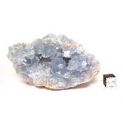 Célestine Pierre brute 15731