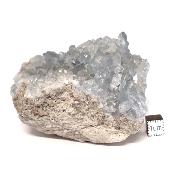 Célestine Pierre brute 15738