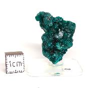 Dioptase Pierre Brute 15785