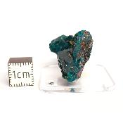 Dioptase Pierre Brute 15786