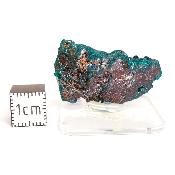 Dioptase Pierre Brute 15786