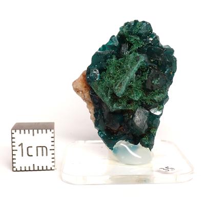 Dioptase Pierre Brute 15821