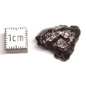 Météorite Sidérite Sikhote-Alin 15997