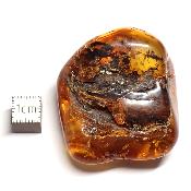 Ambre de la Baltique morceau poli 2038