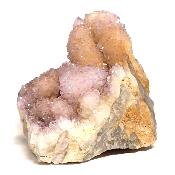 Cristal Cactus Brute 2051