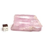 Kunzite Pierre brute 2055
