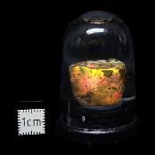 Opale d'Ethiopie Pierre Brute 2314